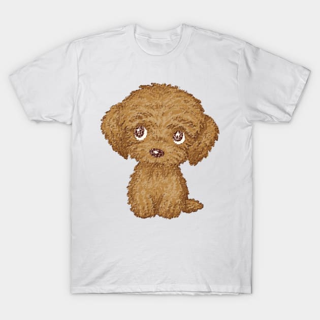Toy poodle shirt store